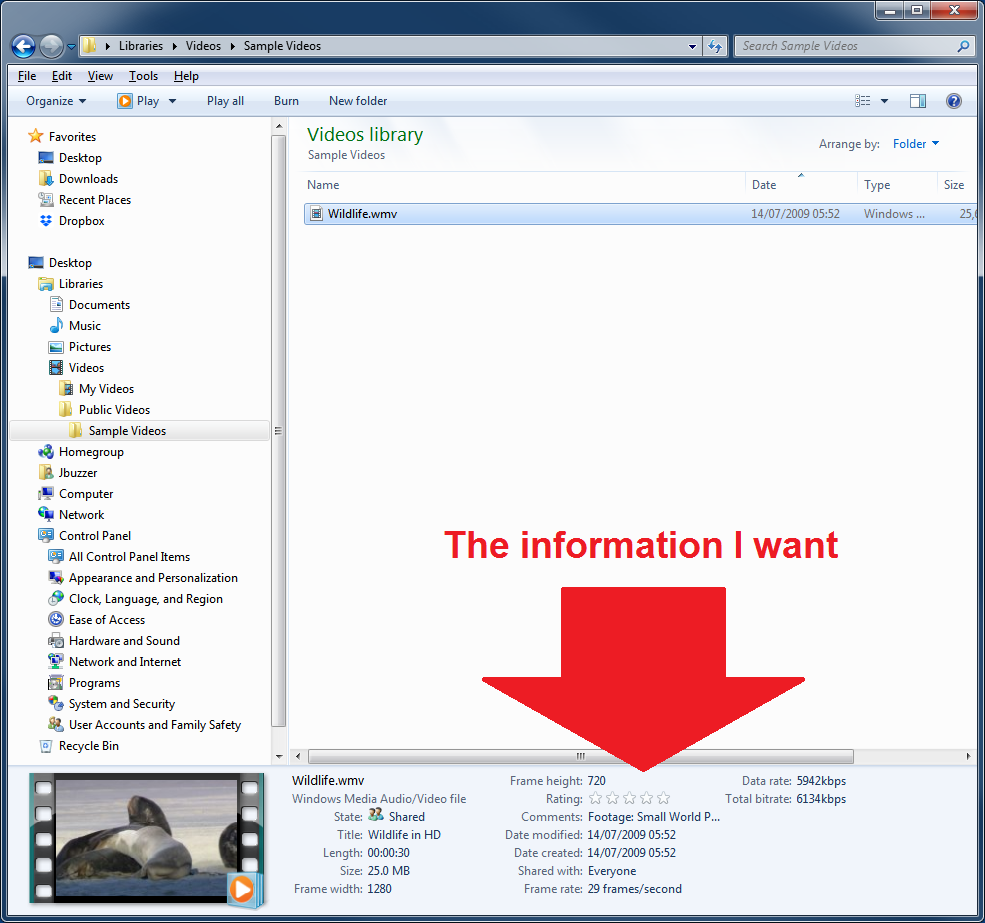 Windows File Explorer: Video File